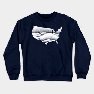 Natural Wonder USA Crewneck Sweatshirt